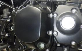 KAWASAKI Z900RS 2023 ZR900K