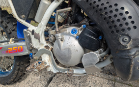 YAMAHA DT200 WR 3XP