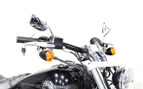 HARLEY FXSB 2015 BF5