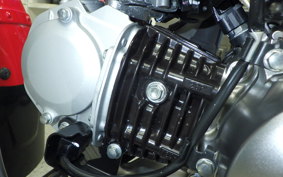 HONDA CT125-2 2020 JA65