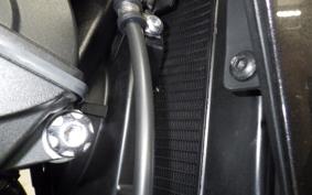 TRIUMPH STREET TRIPLE RS 2026