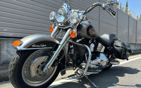 HARLEY FLSTC 2014 BJL