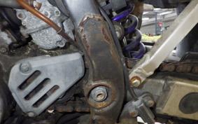 SUZUKI RMX250 S Gen.2