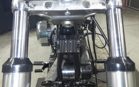 OTHER +UNREGISTERED MODEL by BDS1000 2025