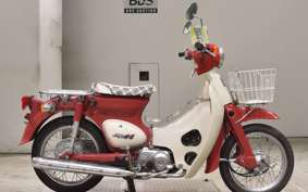 HONDA LITTLE CUB C50