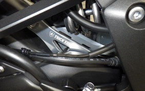 KAWASAKI NINJA 1000SX 2023 ZXT02K