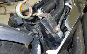 HONDA STEED 600 1994 PC21