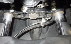 YAMAHA CYGNUSｸﾞﾘﾌｧｽ SEJ4J