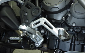 TRIUMPH TIGER 900 RALLY PRO 2023