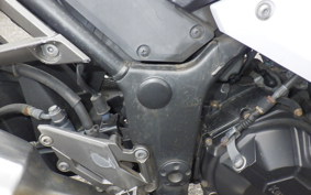 KAWASAKI NINJA 250 EX250L