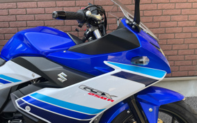 SUZUKI GSX250 R DN11A