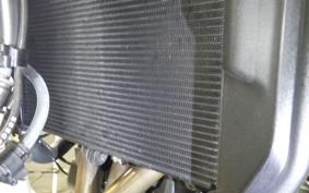 YAMAHA XSR900 2025 RN96J