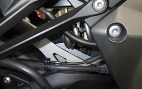 KAWASAKI NINJA 1000SX 2024 ZXT02K