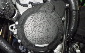 KAWASAKI ZX-4RR 2024 ZX400P