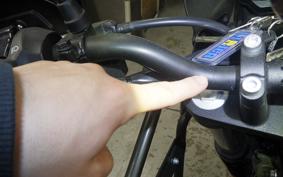 OTHER +ENFIELD ﾋﾏﾗﾔﾝ 2023