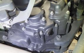 HONDA REBEL 250 2021 MC49