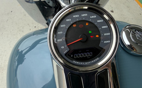 HARLEY FLFBS 2025 YGK
