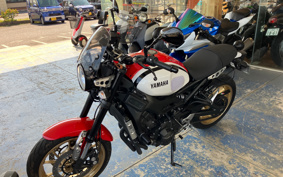 YAMAHA XSR900 2021 RN56J