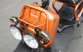 HONDA ZUMAR AF58