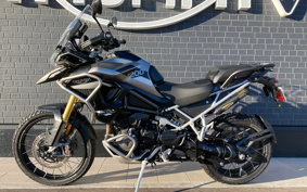 TRIUMPH TIGER 1200GT PRO 2024 TAP20V