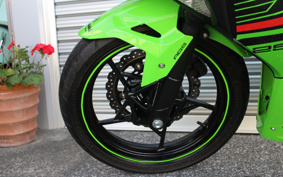 KAWASAKI NINJA 250 KRT ED EX250P