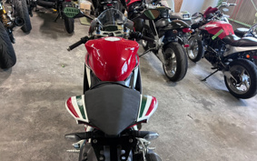 DUCATI 1199PANIGA-RES 2013