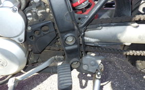 KAWASAKI KLX250D TRACKER X 2018 LX250V