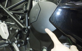 KAWASAKI NINJA H2 SX SE 2020 ZXT02A