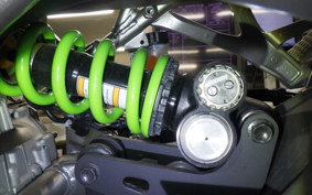 KAWASAKI ZX-4RR 2024 ZX400P