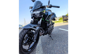 KAWASAKI Z250 EX250Y