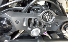 YAMAHA YZF-R25 A 1995 RG95J