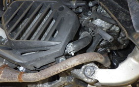 HONDA BENLY 50 AA05