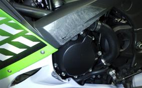 KAWASAKI ZX 10 NINJA R 2010