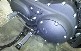 HARLEY XL1200NS 2021
