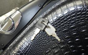 HARLEY XL883RI 2008