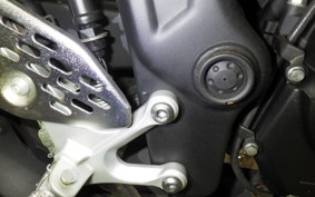 YAMAHA YZF-R25 A 2024 RG43J