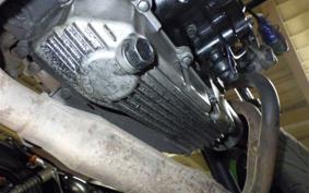 KAWASAKI NINJA 250 EX250L