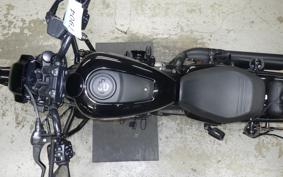 HARLEY RH975S 2024