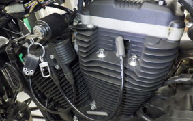 HARLEY XL883N 2009