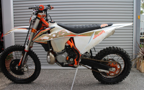 KTM 300EXC L ZU BELL GU RODEO GSA20