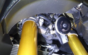 YAMAHA YZF-R3 2021 RH13J