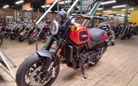 HARLEY X500 2024 W5B