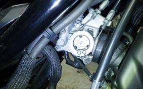HONDA REBEL 250 2002 MC49