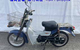 SUZUKI BIRDIE 90