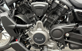 HARLEY  HARLEY RH975S NIGHT  STAR  2023 ZF1