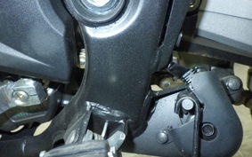 HONDA CRF250 GEN 2 RALLY 2001 MD47