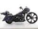 Фото Harley FLTRU103 2014 с японского аукциона