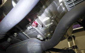 HONDA MONKEY 125 2009 JB02