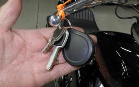 HARLEY FXST1750 2024