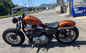 HARLEY XL1200 2014 LF3